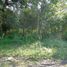  Land for sale in Cardenas, Tabasco, Cardenas, Tabasco