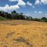  Land for sale in Rionegro, Antioquia, Rionegro