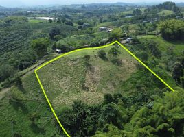  Land for sale in Pereira, Risaralda, Pereira