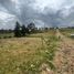  Land for sale in Azuay, Quingeo, Cuenca, Azuay