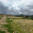  Land for sale in Quingeo, Cuenca, Quingeo