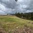  Land for sale in Azuay, Quingeo, Cuenca, Azuay