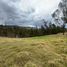  Land for sale in Azuay, Quingeo, Cuenca, Azuay