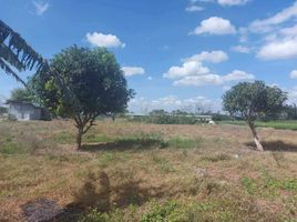  Land for sale in Tiaong, Quezon, Tiaong