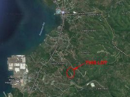  Land for sale in Central Visayas, Balamban, Cebu, Central Visayas