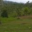  Land for sale in Sibonga, Cebu, Sibonga