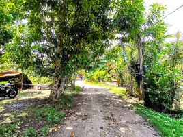  Land for sale in Dumaluan Beach, Panglao, Panglao