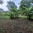  Land for sale in Muntinlupa City, Metro Manila, Muntinlupa City