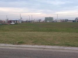  Grundstück zu verkaufen in Rosario, Santa Fe, Rosario