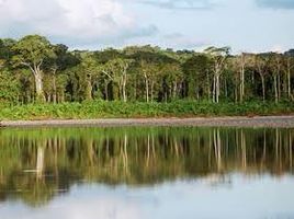  Terrain for sale in Madre De Dios, Inapari, Tahuamanu, Madre De Dios