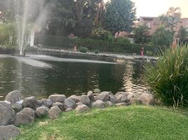  Grundstück zu verkaufen in Cuernavaca, Morelos, Cuernavaca, Morelos