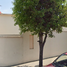 Maison 4 chambre à vendre à Monterrey, Nuevo Leon, Monterrey