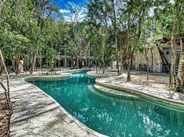 Appartement 1 chambre à vendre à Cozumel, Quintana Roo, Cozumel