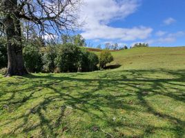  Terreno (Parcela) en venta en Valdivia, Los Ríos, Mariquina, Valdivia