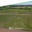  Land for sale in Chillan, Nuble, Chillan, Diguillin