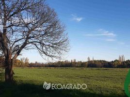  Terreno (Parcela) en venta en Ñuble, Chillan, Diguillín, Ñuble