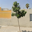 2 Bedroom House for sale in Guadalajara, Jalisco, Guadalajara, Jalisco
