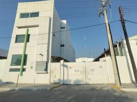 500 平米 Office for rent in Campeche, Carmen, Campeche