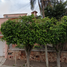 3 Habitación Villa en venta en Queretaro, Querétaro, Queretaro, Querétaro