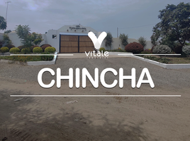  Terreno (Parcela) en venta en Chincha, Ica, El Carmen, Chincha