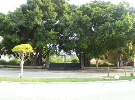 在Carmen, Campeche出租的 土地, Carmen