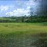 Terrain à vendre à Tagaytay City, Calabarzon, Tagaytay City