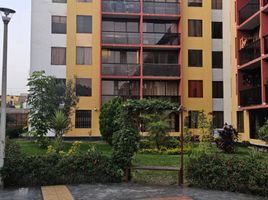 Appartement 3 chambre à vendre à Santiago De Surco, Lima, Santiago De Surco, Lima, Lima