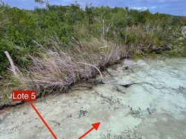  Grundstück zu verkaufen in Othon P Blanco, Quintana Roo, Othon P Blanco