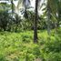  Land for sale in Negros Oriental, Negros Island Region, Dauin, Negros Oriental