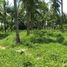  Terrain for sale in Negros Oriental, Negros Island Region, Dauin, Negros Oriental