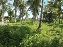  Grundstück zu verkaufen in Negros Oriental, Negros Island Region, Dauin