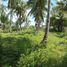  Land for sale in Negros Oriental, Negros Island Region, Dauin, Negros Oriental