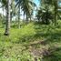  Grundstück zu verkaufen in Negros Oriental, Negros Island Region, Dauin