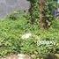  Land for rent in Denpasar, Bali, Denpasar Timur