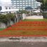  Land for sale in Cebu Central Visayas, Cebu City, Cebu, Central Visayas, Philippines