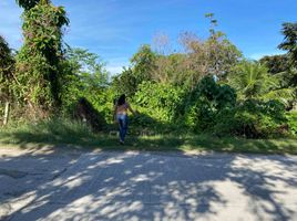  Land for sale in Carcar City, Cebu, Carcar City