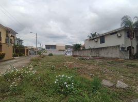  Land for sale in Daule, Guayas, Daule, Daule