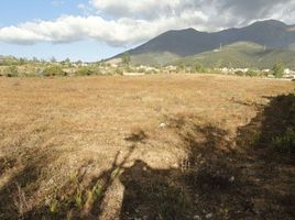  Terreno (Parcela) en venta en Imbabura, San Pablo, Otavalo, Imbabura