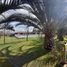  Land for sale in Colina, Santiago, Colina, Chacabuco