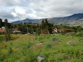  Terreno (Parcela) en venta en Villa De Leyva, Boyaca, Villa De Leyva