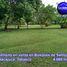 Land for sale in Jalpa De Mendez, Tabasco, Jalpa De Mendez