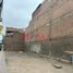  Land for rent in Los Olivos, Lima, Los Olivos, Lima, Lima