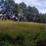  Land for sale in Tzompantepec, Tlaxcala, Tzompantepec, Tlaxcala
