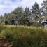  Land for sale in Tzompantepec, Tlaxcala, Tzompantepec, Tlaxcala