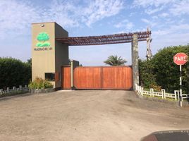  Land for sale in Mala, Lima, Mala