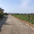  Land for sale in Mala, Lima, Mala