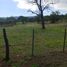  Land for sale in San Alberto, Cordoba, San Alberto