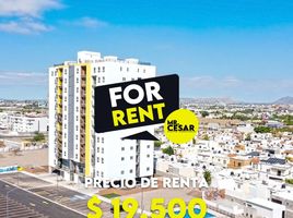 2 Bedroom Apartment for rent in Hermosillo, Sonora, Hermosillo, Sonora