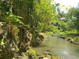  Terrain for sale in Ubud, Gianyar, Ubud