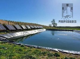  Land for sale in Chile, Futrono, Ranco, Los Rios, Chile
